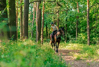 man riding in a forest