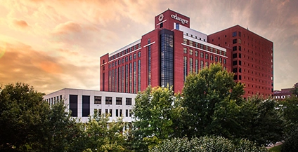 brick building in the middle of bushes